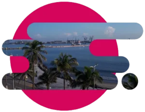 Playa de Veracruz con palmeras
