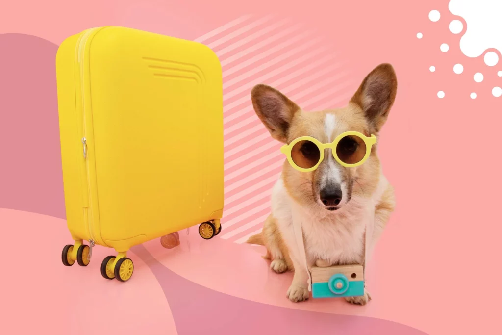 Perro listo para viajar con maleta