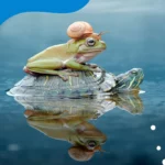Fauna increíble en humedales México