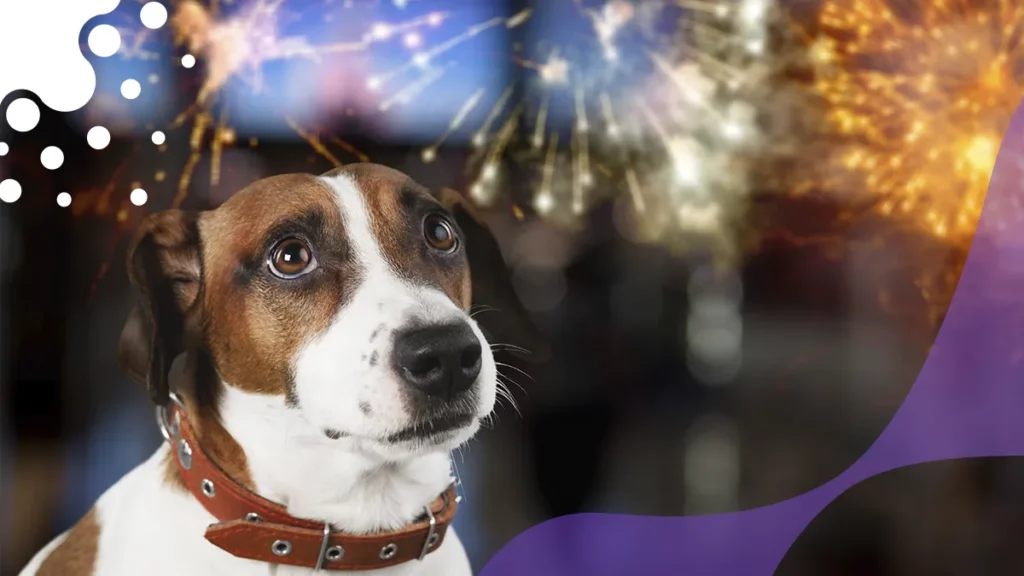 Tips para cuidar a tu mascota de la pirotecnia Atributo Perrito asustado por pirotecnia de fin de año