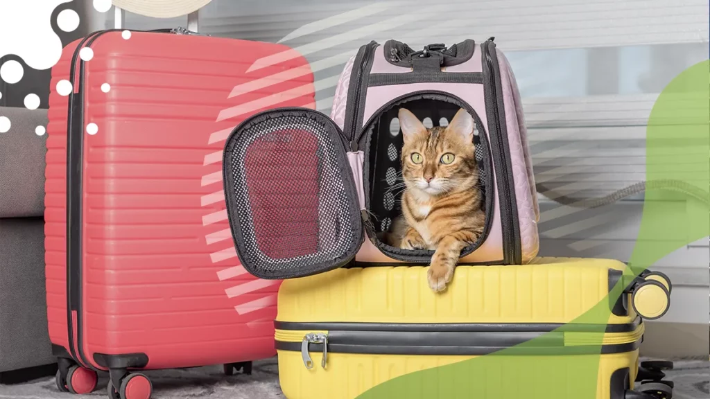 Mascota con maletas preparado para viajar