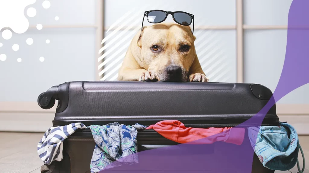 Mascota sobre maleta con ropas para viajar