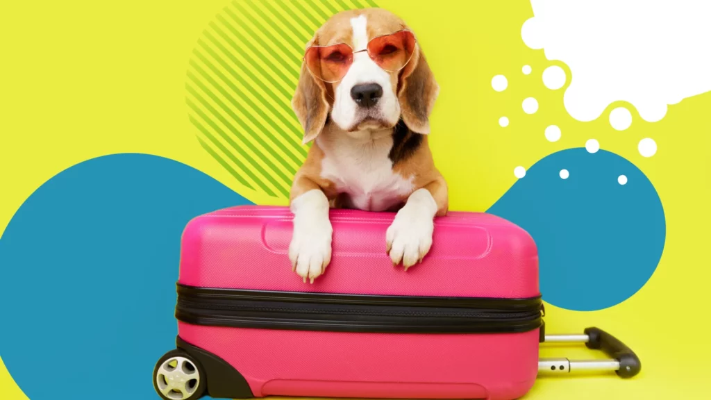 sagarpa requisitos para viajar con perros