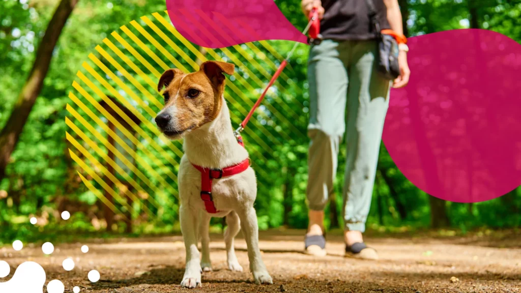 perro en el parque con su dueño | JAPI