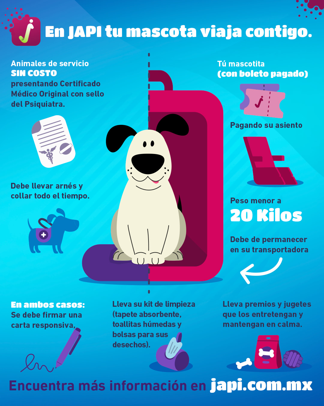 Mascota en transportadora en autobús