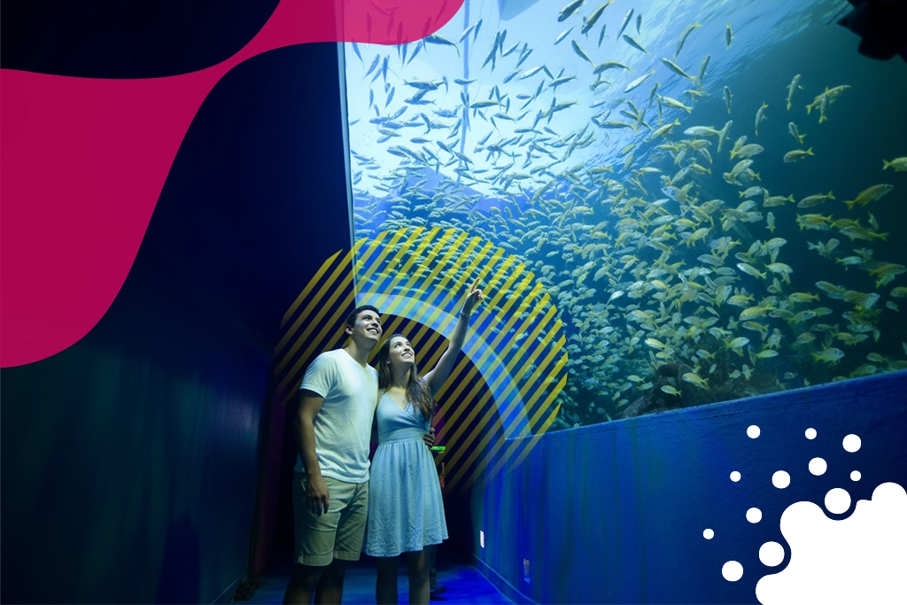 pareja en acuario | JAPI