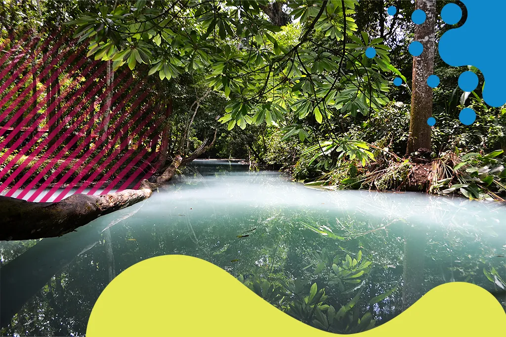 paisaje de tabasco | JAPI